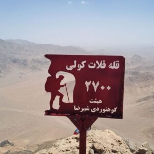 photo_2025-05-02_16-31-34